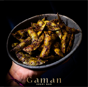 GAMAN-PUBLICACIONES-01