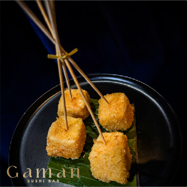 GAMAN-PUBLICACIONES-02