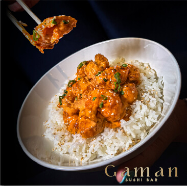 GAMAN-PUBLICACIONES-04