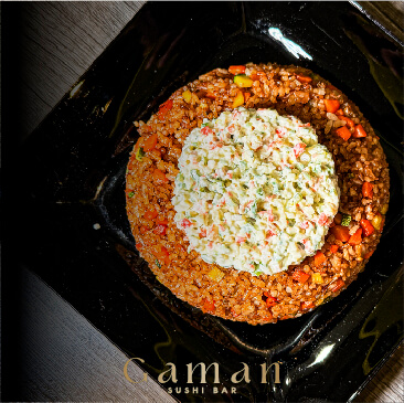 GAMAN-PUBLICACIONES-07