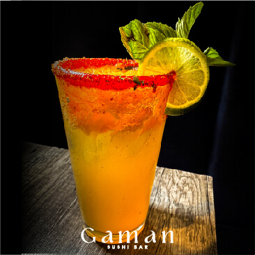 GAMAN-PUBLICACIONES-08