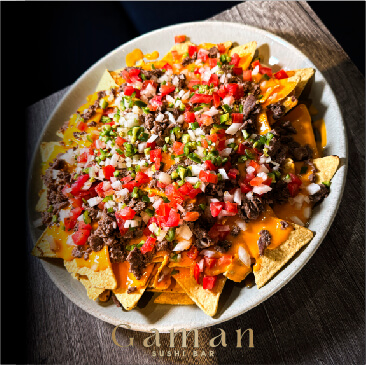 GAMAN-PUBLICACIONES-09