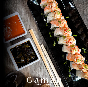 GAMAN-PUBLICACIONES-10